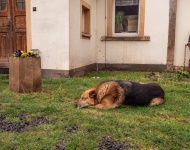 Rajd Samochodowy - 2 Przygoda Wokół Wulkanów